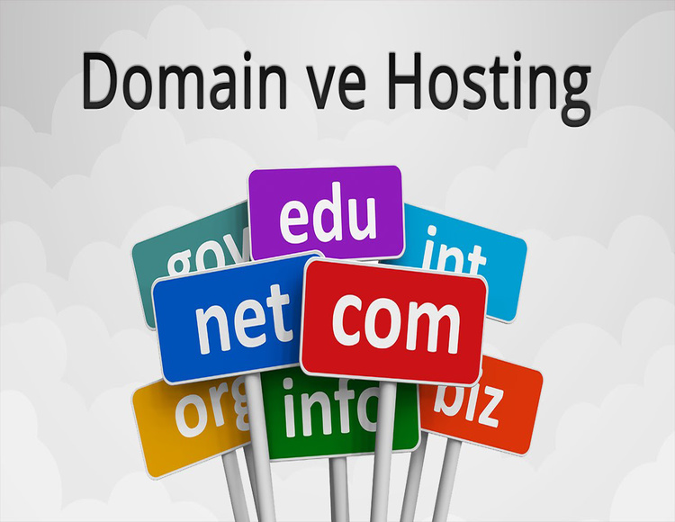 Domain ve Hosting Hizmeteleri